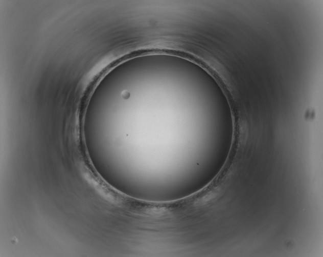 X0000112050982200908041146