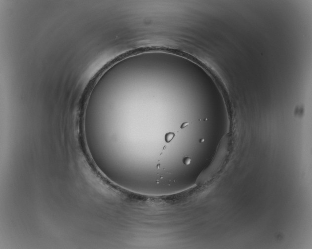 X0000112050983200908041146