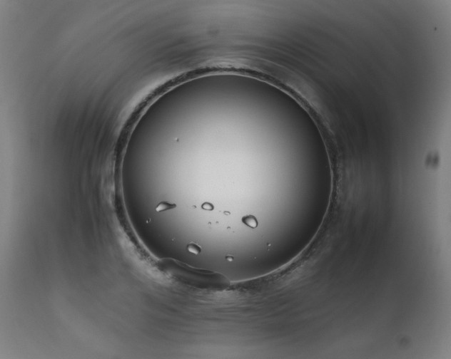 X0000112050984200908041146