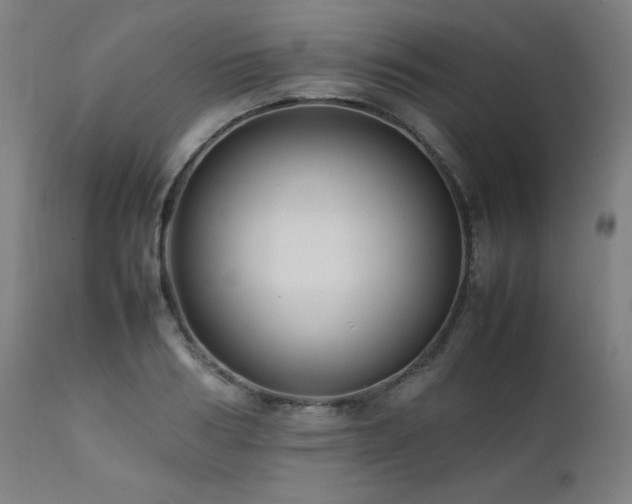 X0000112050986200908041146