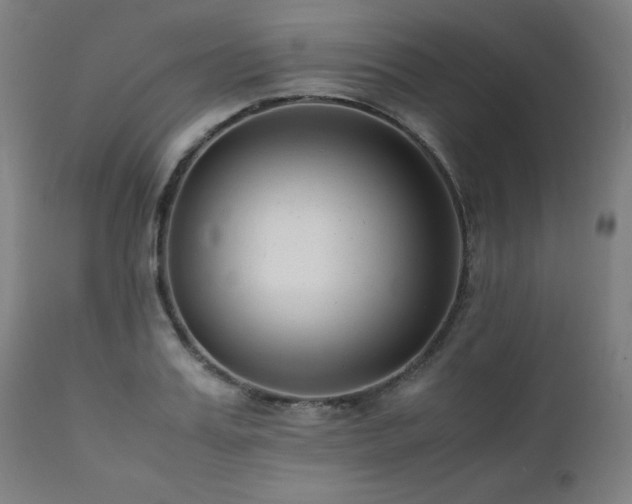X0000112050987200908041146