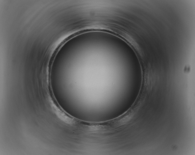 X0000112050988200908041146