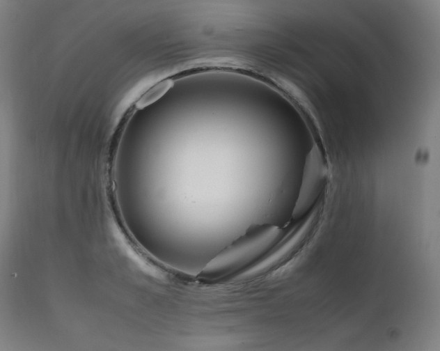 X0000112050989200908041146