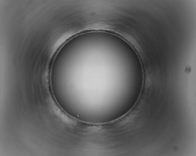 X0000112050990200908041146