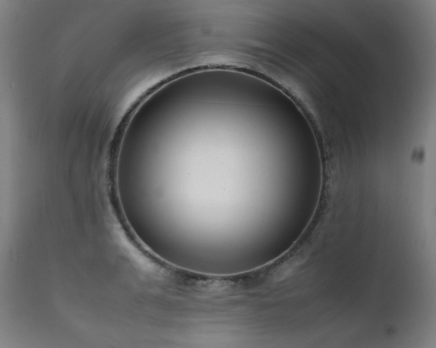 X0000112050991200908041146