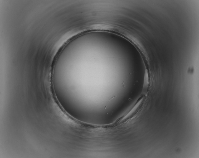 X0000112050992200908041146