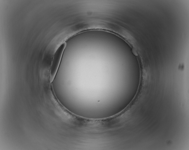 X0000112050993200908041146