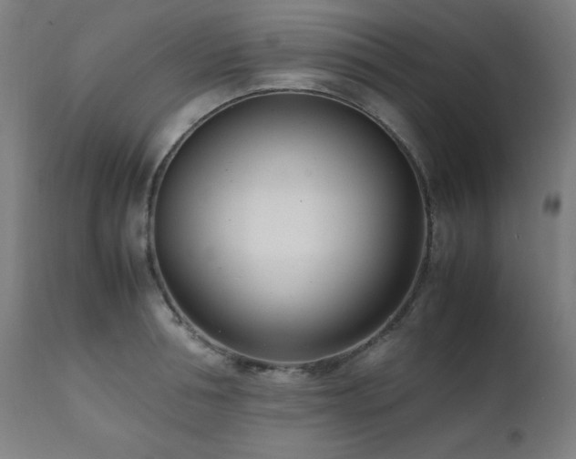 X0000112050994200908041146