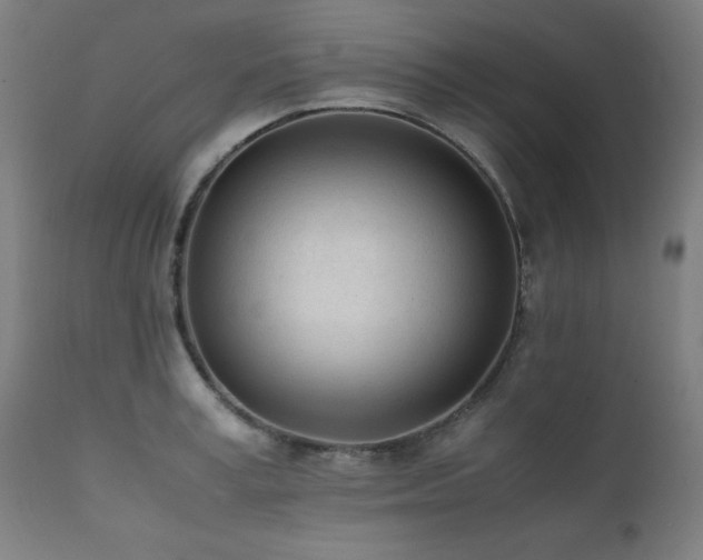 X0000112050995200908041146