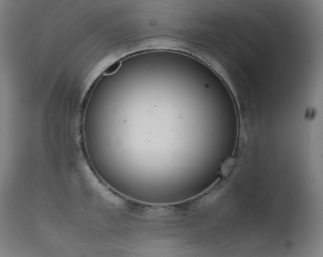 X0000112050997200908041146