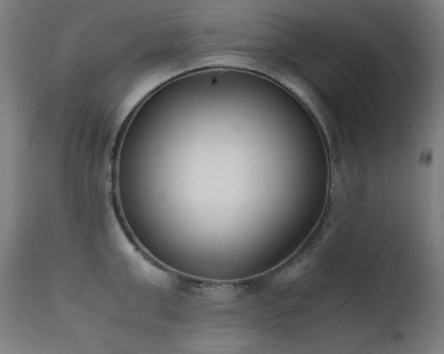 X0000112050999200908041146