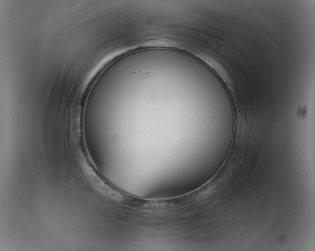 X0000112051000200908041146