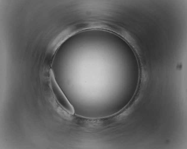 X0000112051001200908041146