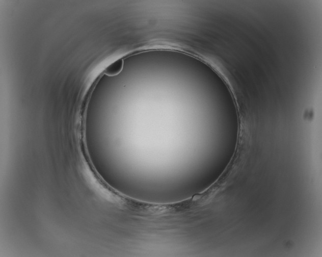 X0000112051003200908041146