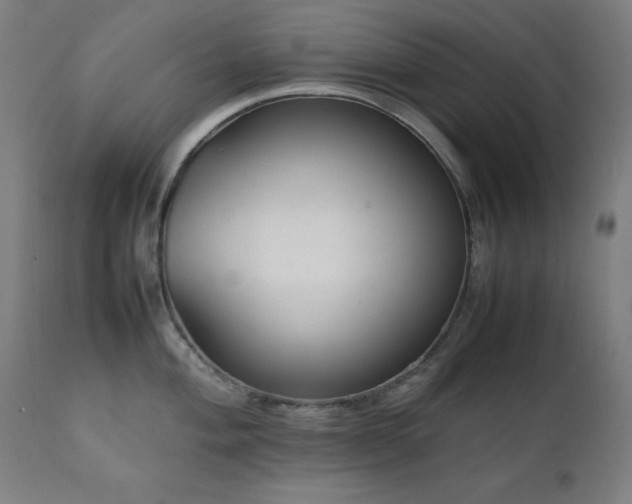 X0000112051004200908041146