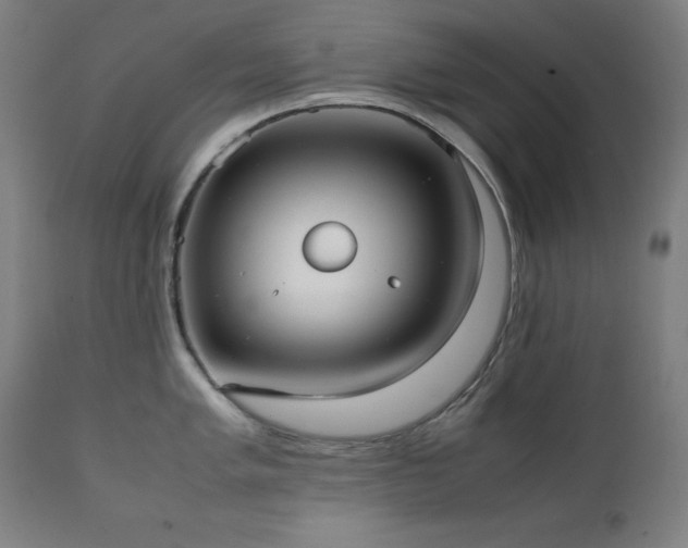 X0000112051005200908041146