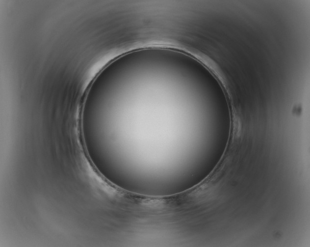 X0000112051006200908041146