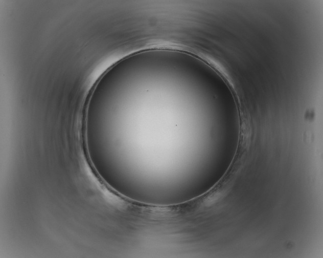 X0000112051007200908041146