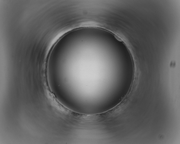 X0000112051008200908041146