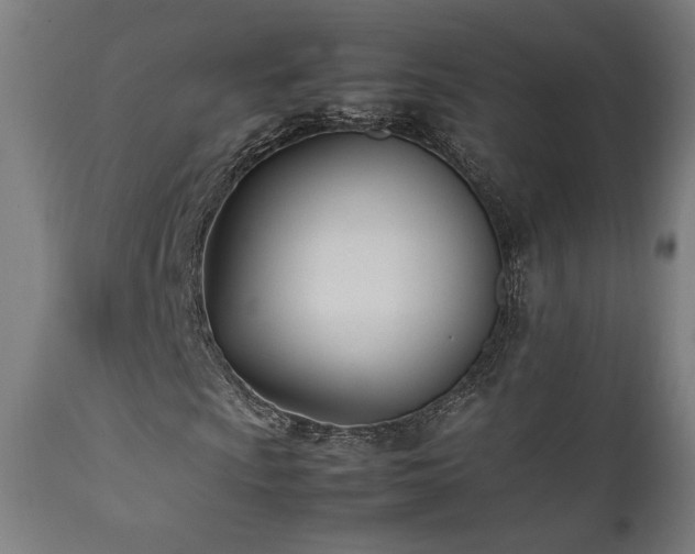 X0000112051009200908041145