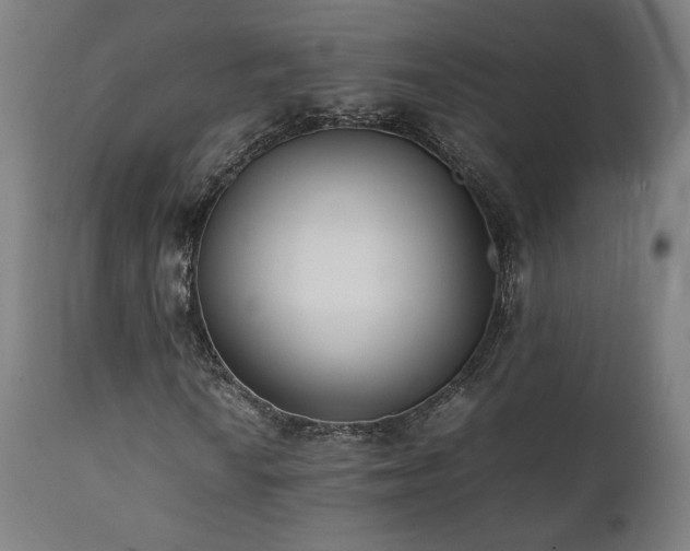 X0000112051010200908041145
