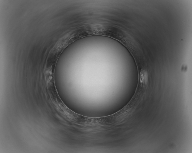 X0000112051011200908041145