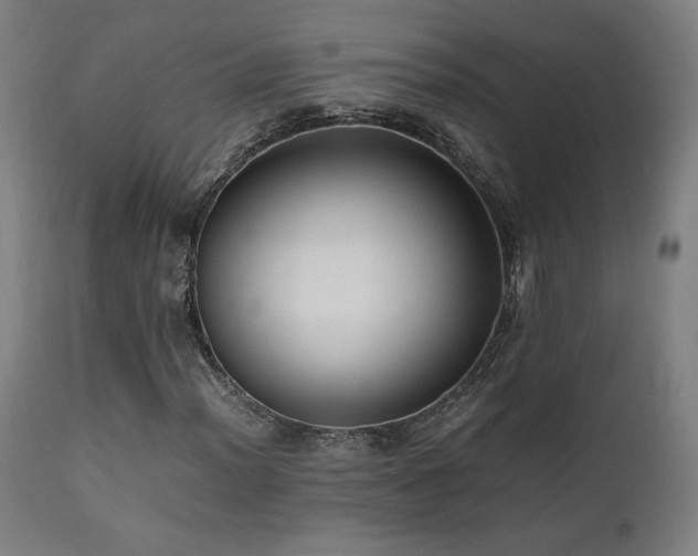 X0000112051012200908041145