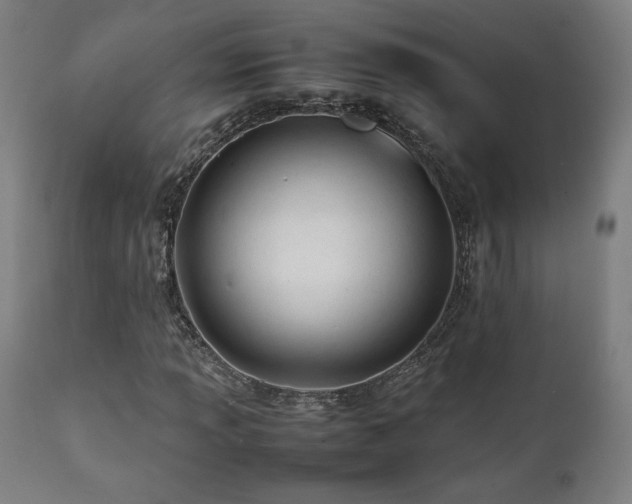 X0000112051013200908041145
