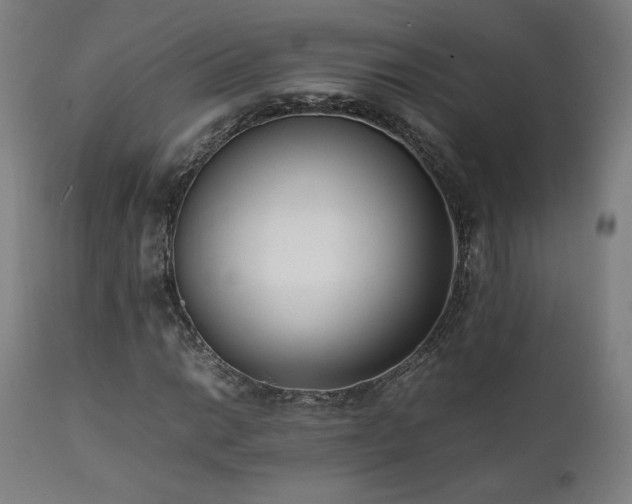 X0000112051014200908041145