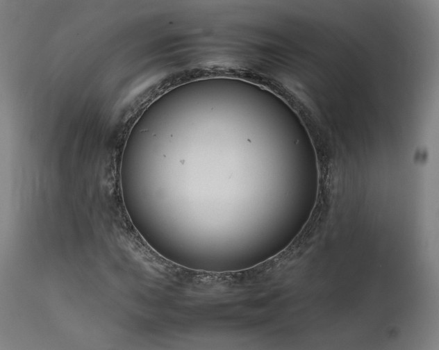 X0000112051015200908041145