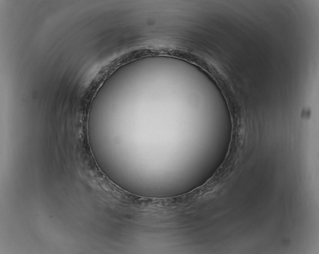 X0000112051016200908041145