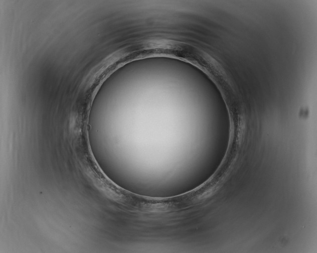 X0000112051017200908041145