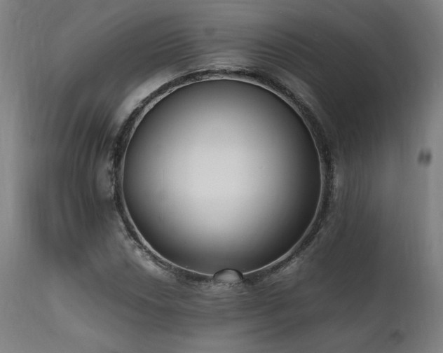 X0000112051018200908041145