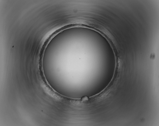 X0000112051020200908041145