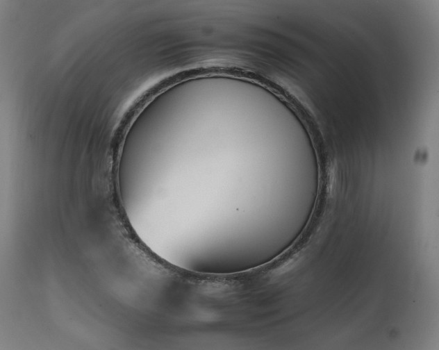 X0000112051021200908041145