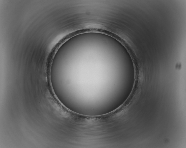 X0000112051022200908041145