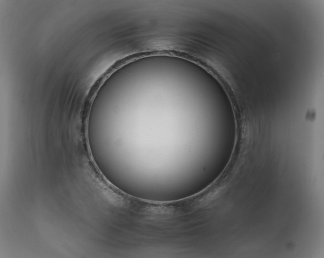 X0000112051023200908041145