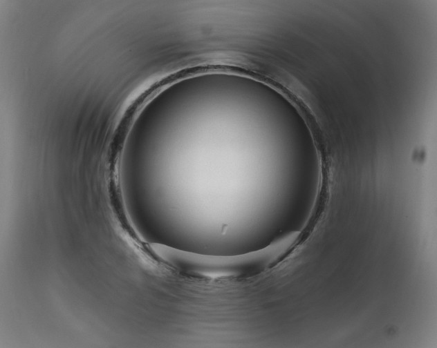 X0000112051024200908041145