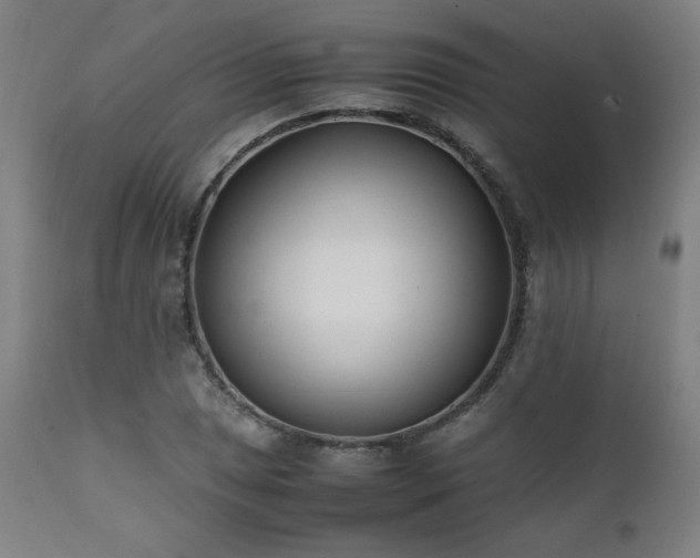 X0000112051025200908041145