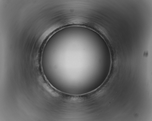 X0000112051026200908041145