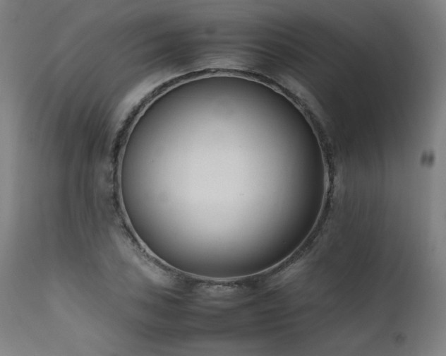 X0000112051027200908041145