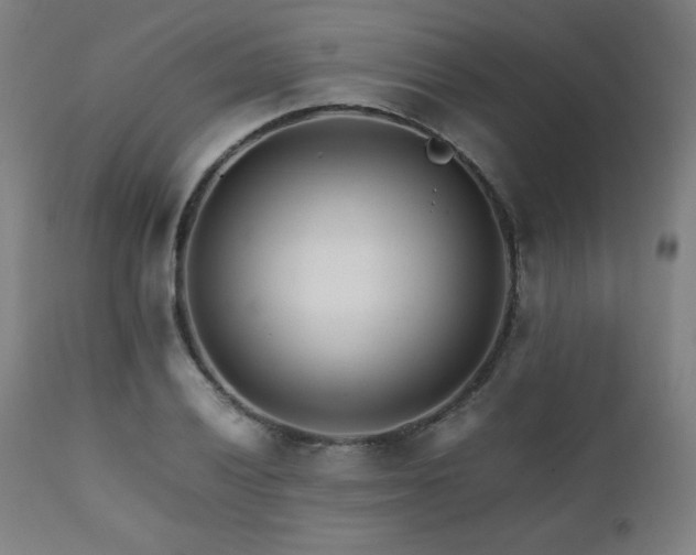 X0000112051028200908041145