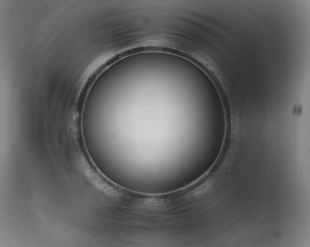 X0000112051029200908041145