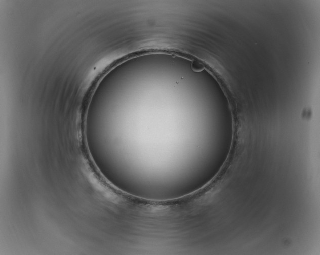 X0000112051030200908041145