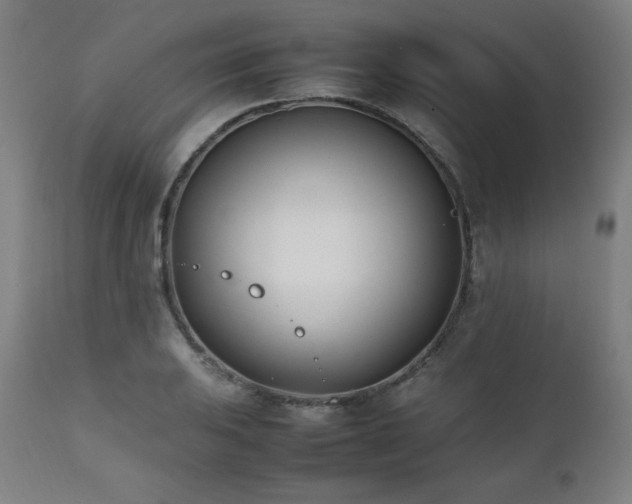 X0000112051031200908041145