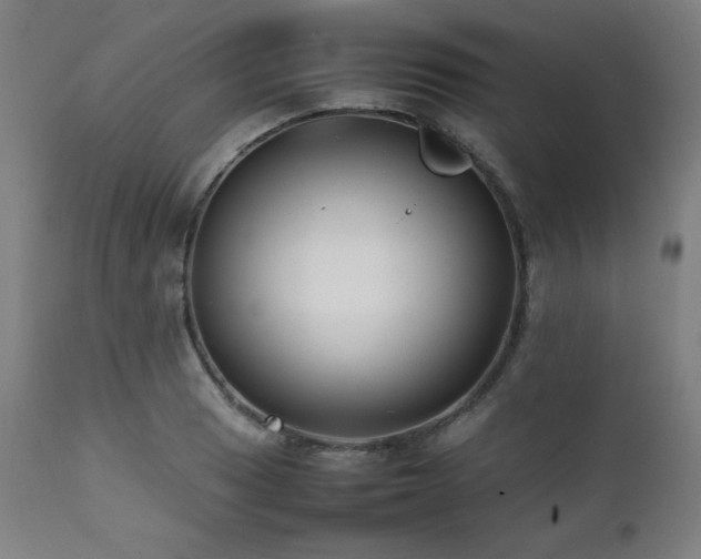 X0000112051033200908041145