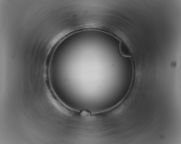 X0000112051034200908041145