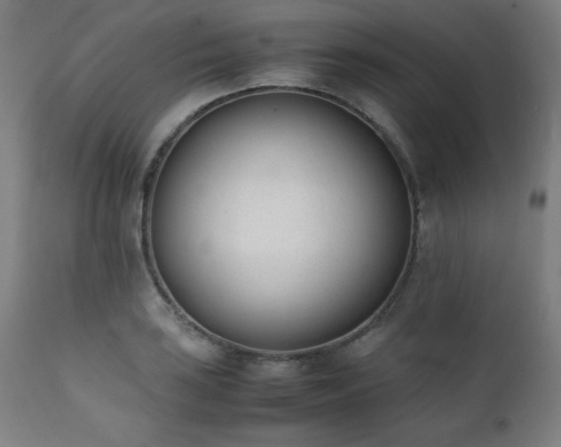 X0000112051035200908041145
