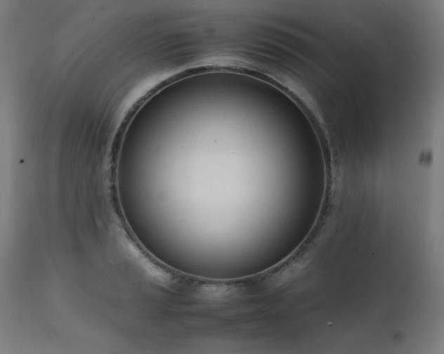 X0000112051037200908041145