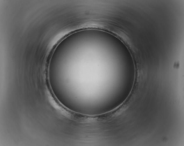 X0000112051038200908041145